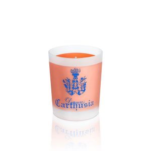 Carthusia - Corralium - žvakė