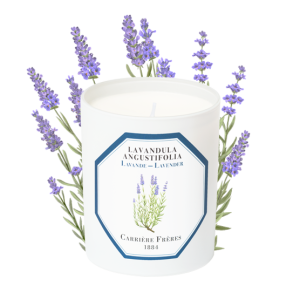 Carriere Freres - Lavender - žvakė