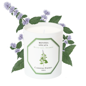 Carriere Freres - Spearmint - žvakė